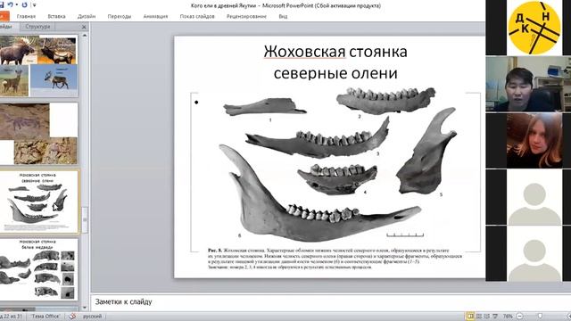 Научно-популярная лекция: "Кого ели древней Якутии (про охоту древних людей)" смотреть онлайн
