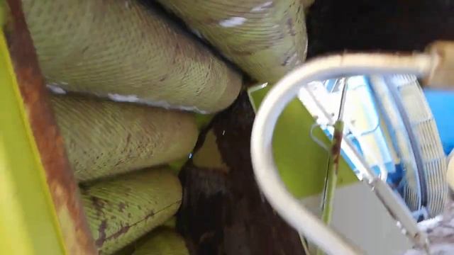 Купить пресс подборщик Claas Rollant 44s сетка+шпагат. Проверка Claas Rollant 44 без сена