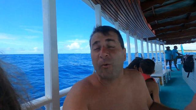 MALDIVES 2021 | WHALE SHARK DIVING смотреть онлайн