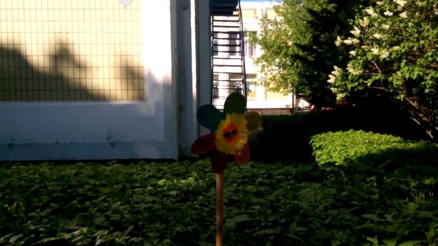 Haier W867 test video смотреть онлайн