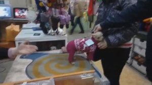 Вязанный комбинезон для чихуа