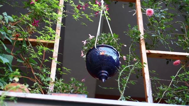 Balkon Tagebuch Juni 2022 | Was wächst auf meinem Schattenbalkon? смотреть онлайн