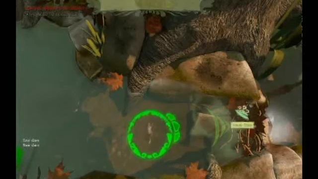 Tutorial Gerridae смотреть онлайн