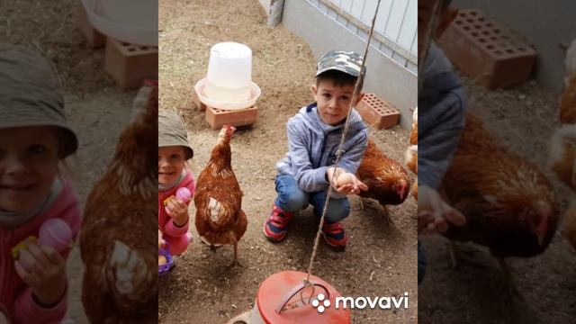 Бережное отношение к природе смотреть онлайн