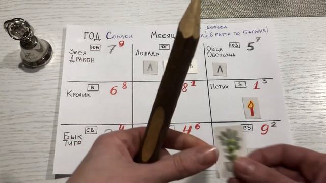 Летящие звёзды месяца Кролика года Собаки (с 6 марта по 5 апреля) смотреть онлайн