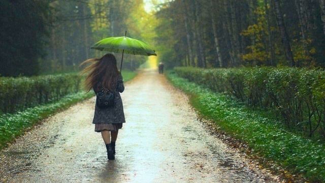 relaxing Piano Music with forest Rain смотреть онлайн
