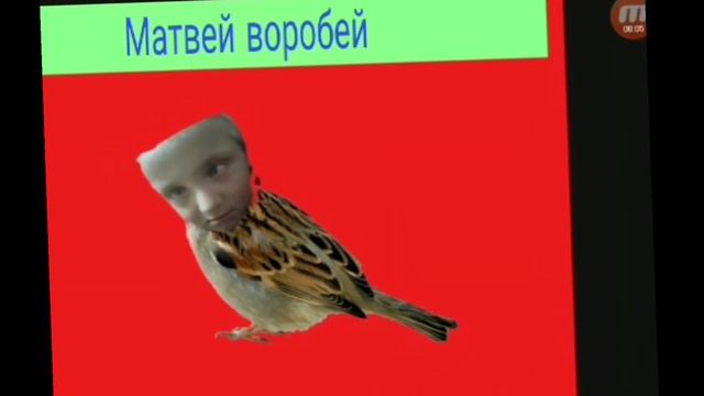 Матвей воробей/Matvey sparrow смотреть онлайн