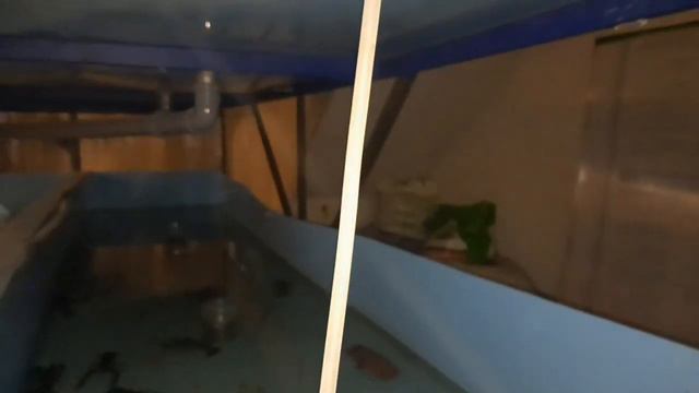 Наконец-то я всё доделал для моих раков ### АККР ### смотреть онлайн
