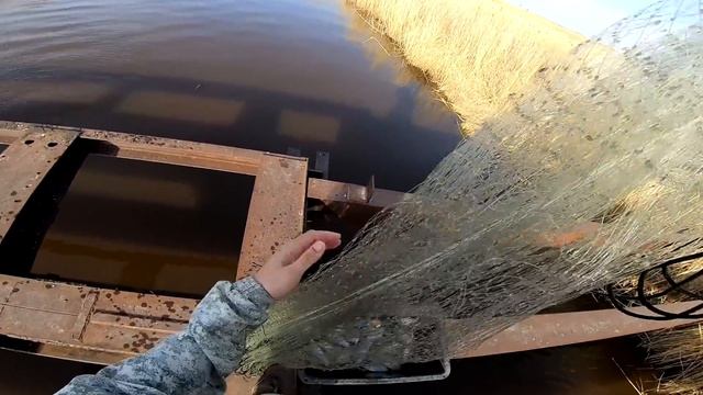 Рыбалка на кастинговую с опасного моста посреди Сибири. Рыбалка 2023. Рыбалка на сазана смотреть онлайн