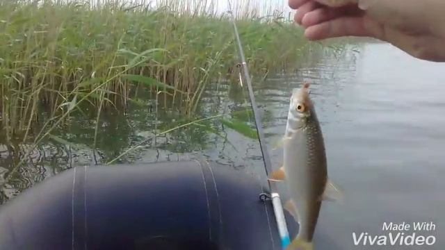 Рыбалка на оз.Басановка,ловля чебака. смотреть онлайн