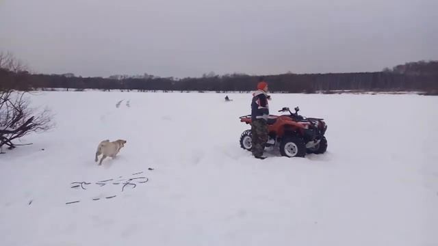 Квадрики на льду. смотреть онлайн