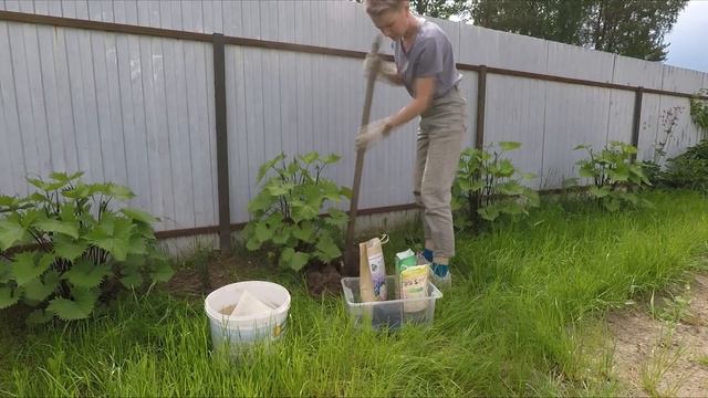 ОПЯТЬ ДЕЛА-ВЫСАДИЛА ГОРТЕНЗИИ И МОЖЖЕВЕЛЬНИКИ И Т.Д.2022 смотреть онлайн