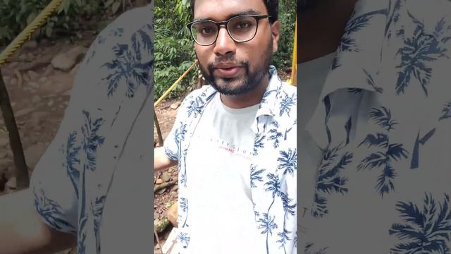 Day Five | Seven amazing days in goa | Dudhsagar waterfall смотреть онлайн