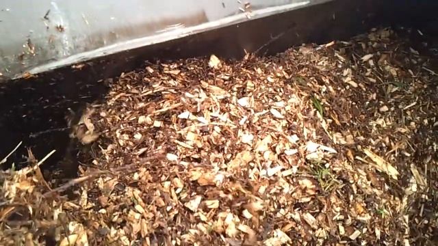 22 4 17 rocket composter смотреть онлайн