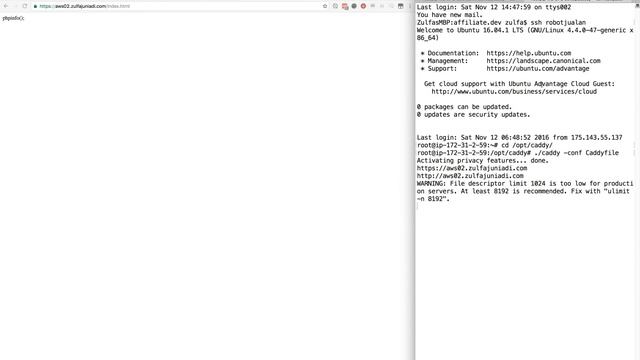 Caddy Web Server смотреть онлайн