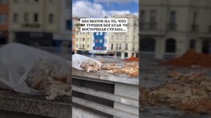 Выкидывают хлеб в Турции