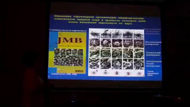 Организация ядерной оболочки высших растений. смотреть онлайн