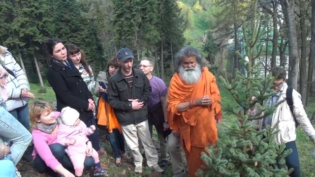 170405 Свамиджи Киев ботанический сад дерево смотреть онлайн