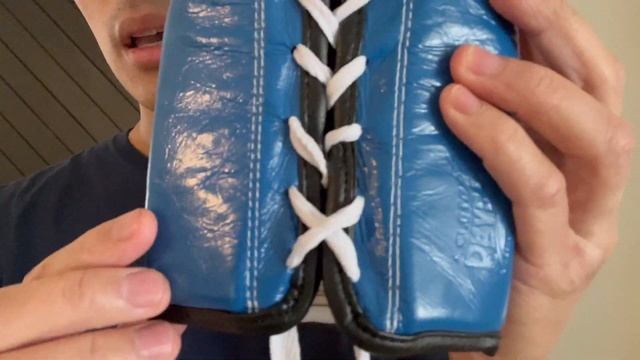 Cleto Reyes Pro Fight Gloves REVIEW- BEST QUALITY FIGHT GLOVE ON THE MARKET?!