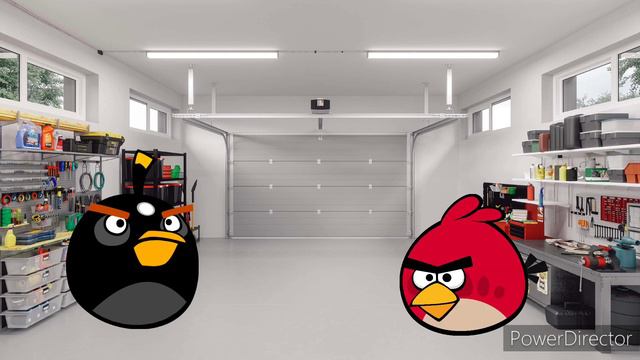 Angry Birds Animation: The Blues Sneaked To Nickelodeon Animation Studio