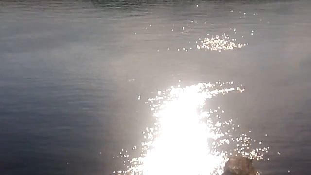 Запорожье. Хортиця. Вид на Днепр с острова Хортица . смотреть онлайн