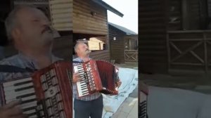 Даргинская песня на гармошке