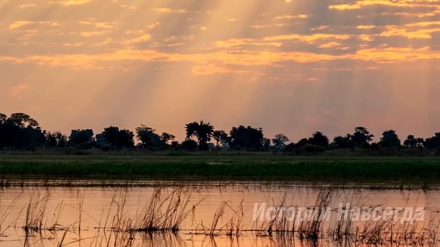 «Взяла три мандаринки и стоишь тут» продавщица гнобила бабушку. А едва… смотреть онлайн