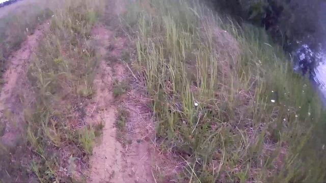 С металлодетектором по дубовой посадке смотреть онлайн