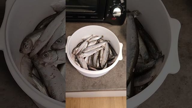 Изучение и Применение Психологических Практик