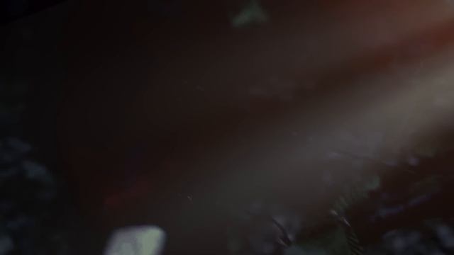 The Phenomenon (2020) | FULL MOVIE | James Fox