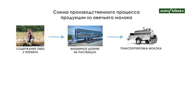 Отечественные технологии переработки молока мелкого рогатого скота смотреть онлайн