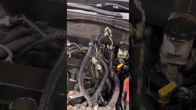 2012 Fusion 2.5L Coolant Leak смотреть онлайн