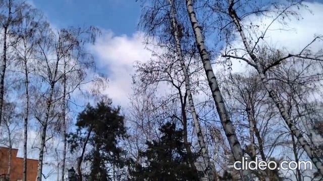 Я скучаю Стихотворение Автор Александр Григорьев. смотреть онлайн