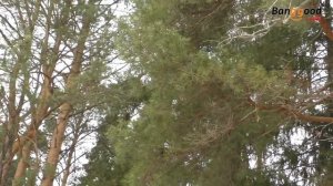 Квадрокоптер. Как я учился летать.