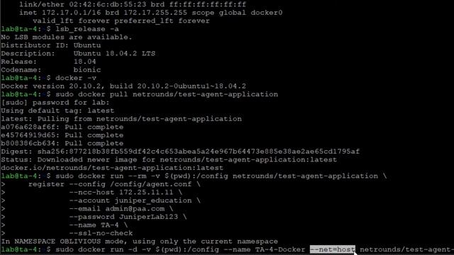 Test Agent Registration – Docker Container Application смотреть онлайн