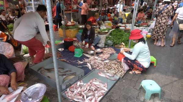 Amazing Cambodian food market scenes, massive food tour
