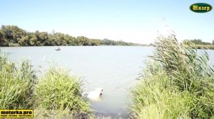 Навесной транец.Лодка Инзер 220.Мотор Тохатсу 3.5