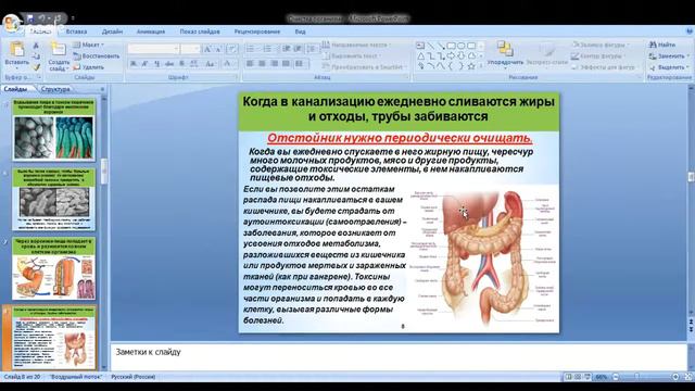 ОЧИЩЕНИЕ ОРГАНИЗМА, ЗАЛОГ ЗДОРОВЬЯ. ЗАНЯТИЕ №8. смотреть онлайн