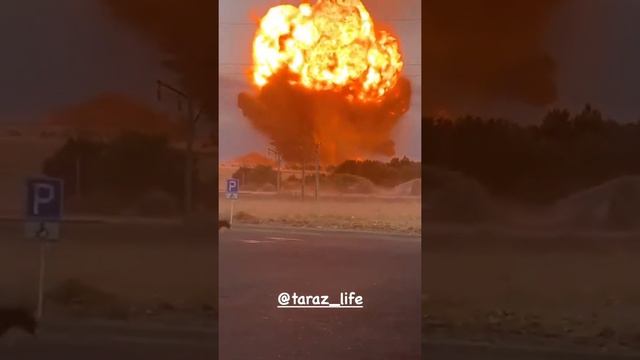 Тараз байзак смотреть онлайн