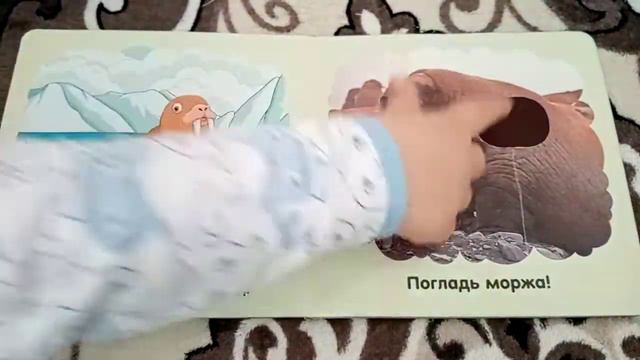 Морские обитатели смотреть онлайн