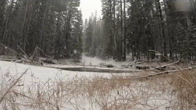 Trout Creek смотреть онлайн