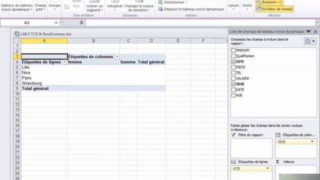 LAB 6 EXCEL : tableaux croisés dynamiques смотреть онлайн