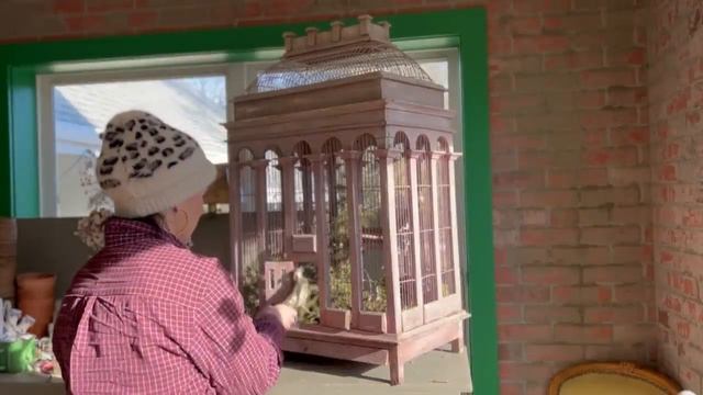 Fighting the Winter Blues! | I SAVED THIS BIRDCAGE FROM THE TRASH! смотреть онлайн
