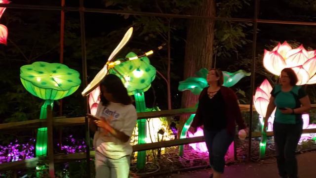 Asian lantern festival Pittsburgh zoo and PG aquarium frogs and Lotus 9-9-2022 смотреть онлайн