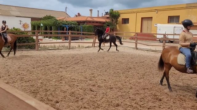Испанский шаг и пассаж. Испанская школа верховой езды. смотреть онлайн
