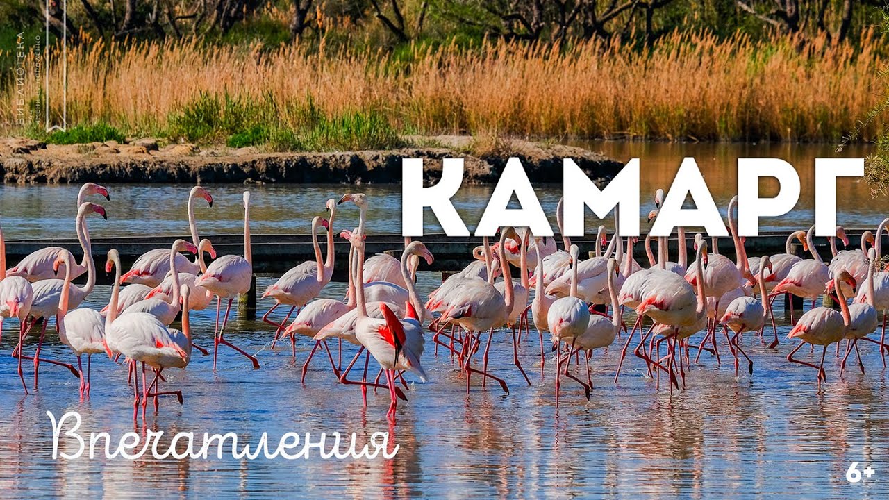 Камарг. Впечатления (6+) смотреть онлайн