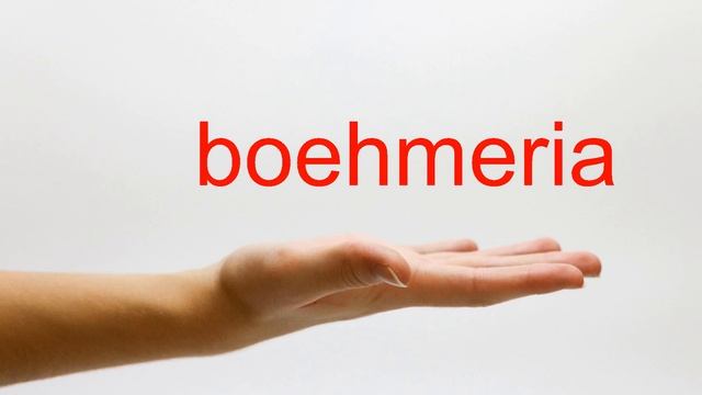 How to Pronounce boehmeria - American English