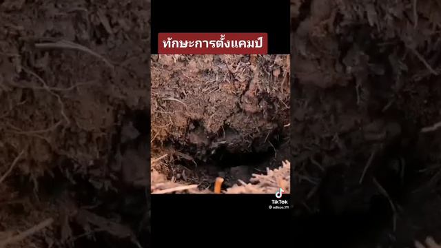 Каждый человек в мире должен знать этих методов для выживание смотреть онлайн