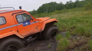 Трекол в болоте