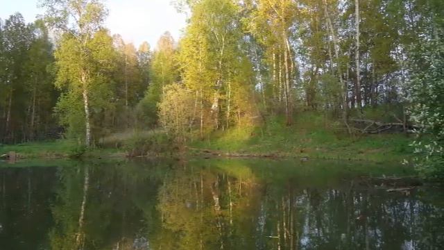 Виктор Карманов Березы Алтая смотреть онлайн
